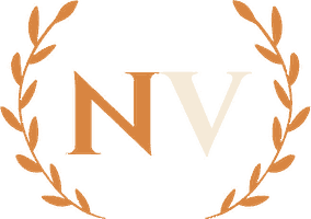 Nova Vizija amblem